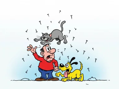 En person blir träffad av en fallande katt och sedan en hund och pekar mot regnande småspik.